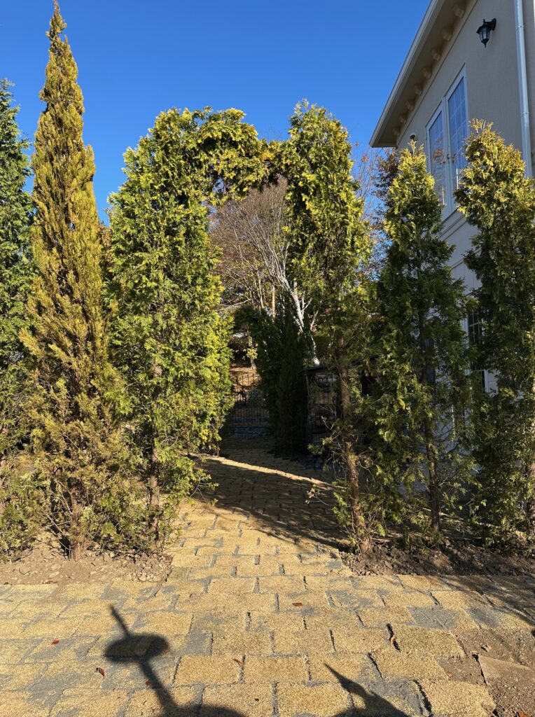 裏庭へと続く自然の立ち木で作られた緑のアーチゲート